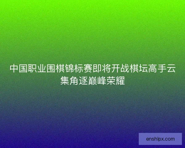 中国职业围棋锦标赛即将开战棋坛高手云集角逐巅峰荣耀